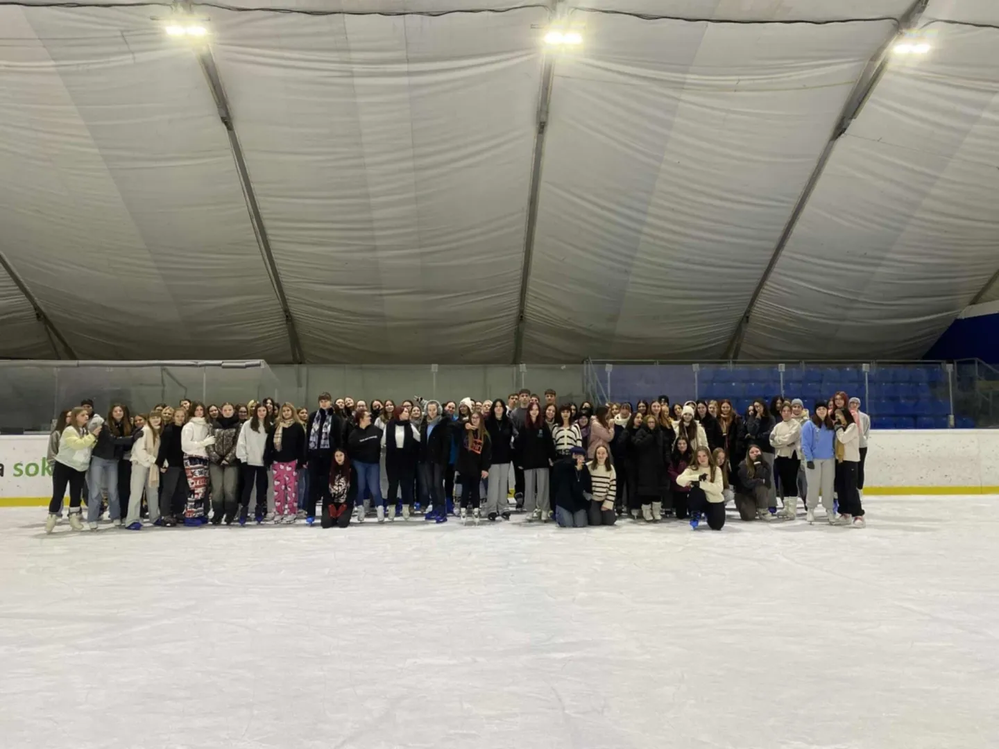 Korizik a suli 1.webp